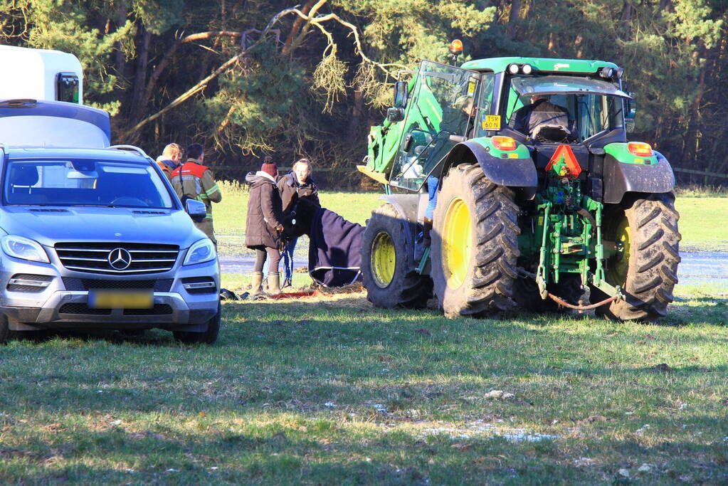 Brandweer ingezet voor een paard in nood