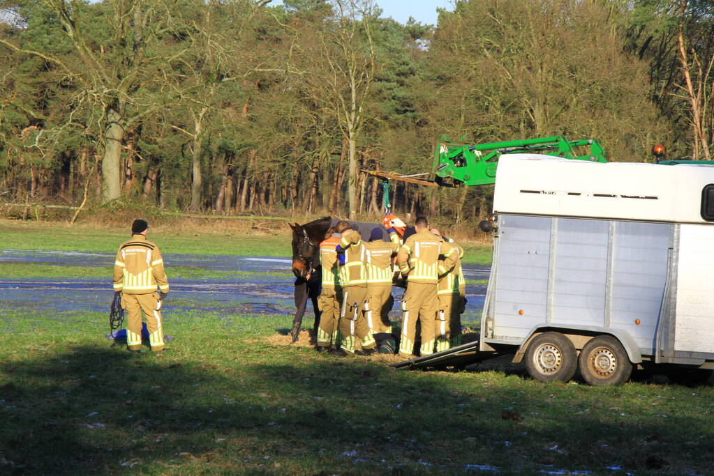 Brandweer ingezet voor een paard in nood