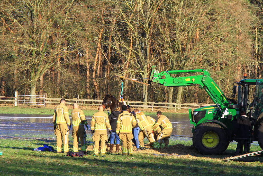 Brandweer ingezet voor een paard in nood