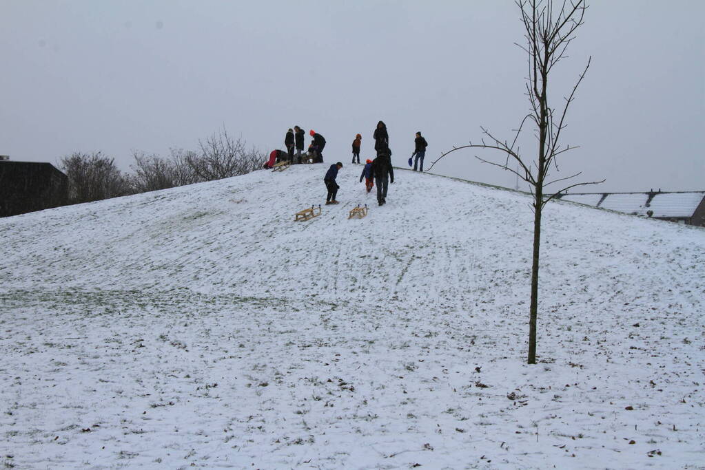 Kinderen hebben lol in de sneeuw