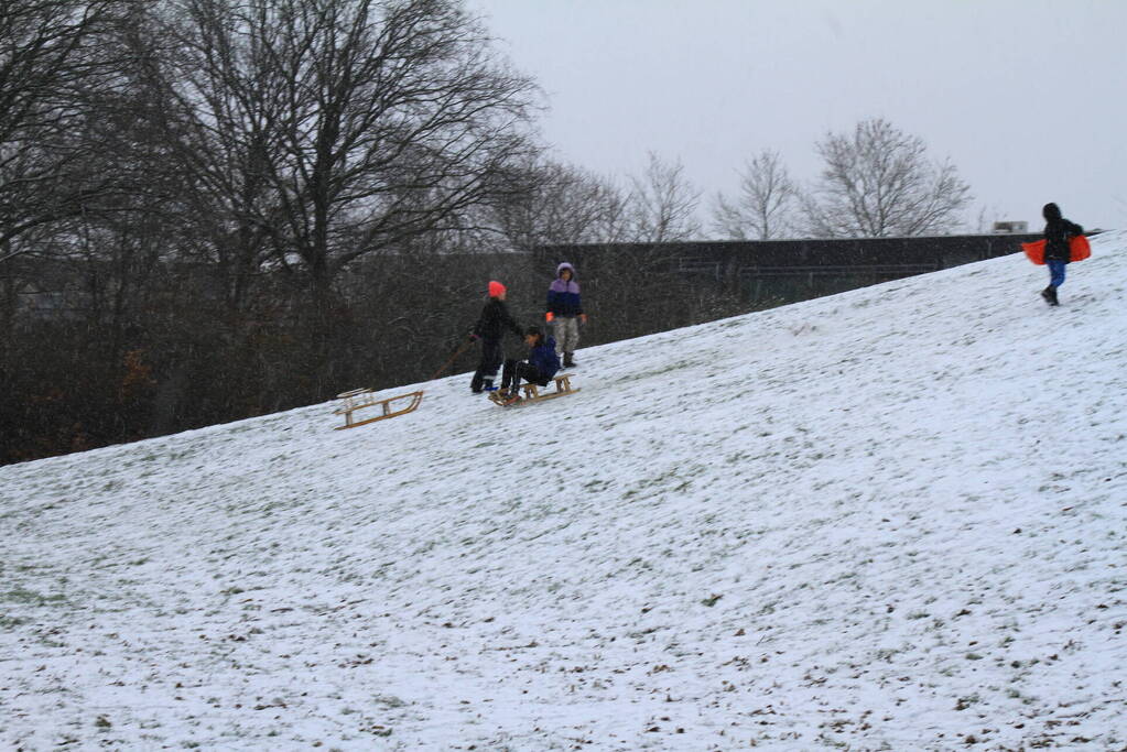 Kinderen hebben lol in de sneeuw