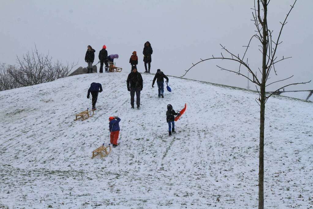 Kinderen hebben lol in de sneeuw