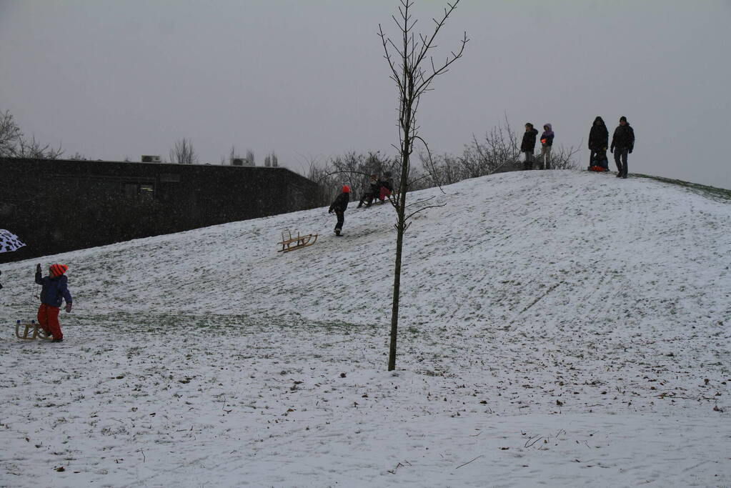 Kinderen hebben lol in de sneeuw