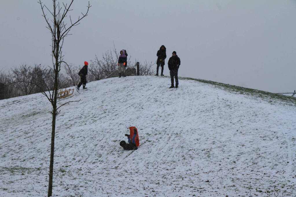 Kinderen hebben lol in de sneeuw