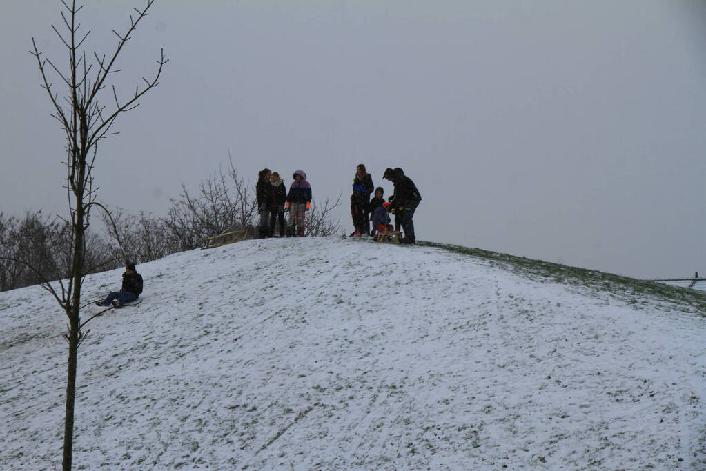 Kinderen hebben lol in de sneeuw