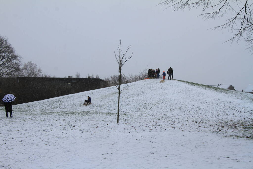 Kinderen hebben lol in de sneeuw