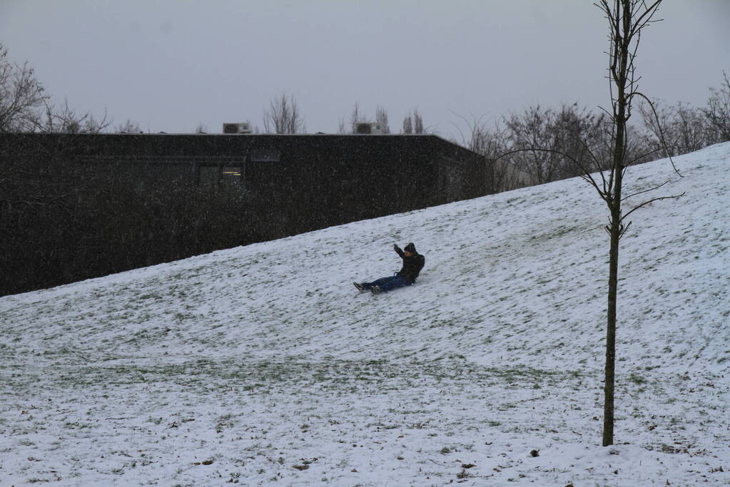 Kinderen hebben lol in de sneeuw