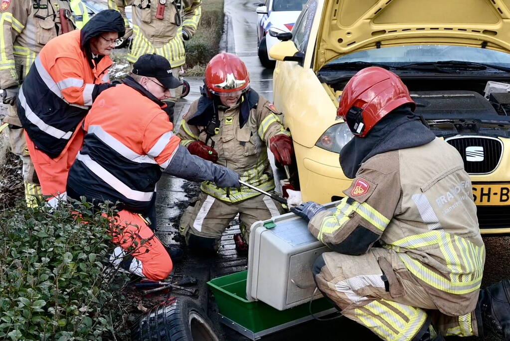 Hulpdiensten redden aangereden kat uit auto