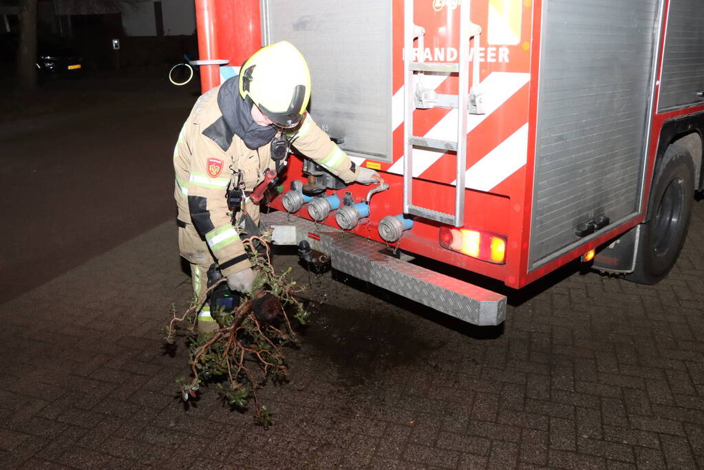 Brandweer ingezet voor brandende plant