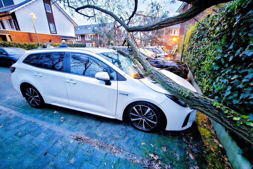 Meerdere auto's beschadigd door omgevallen boom