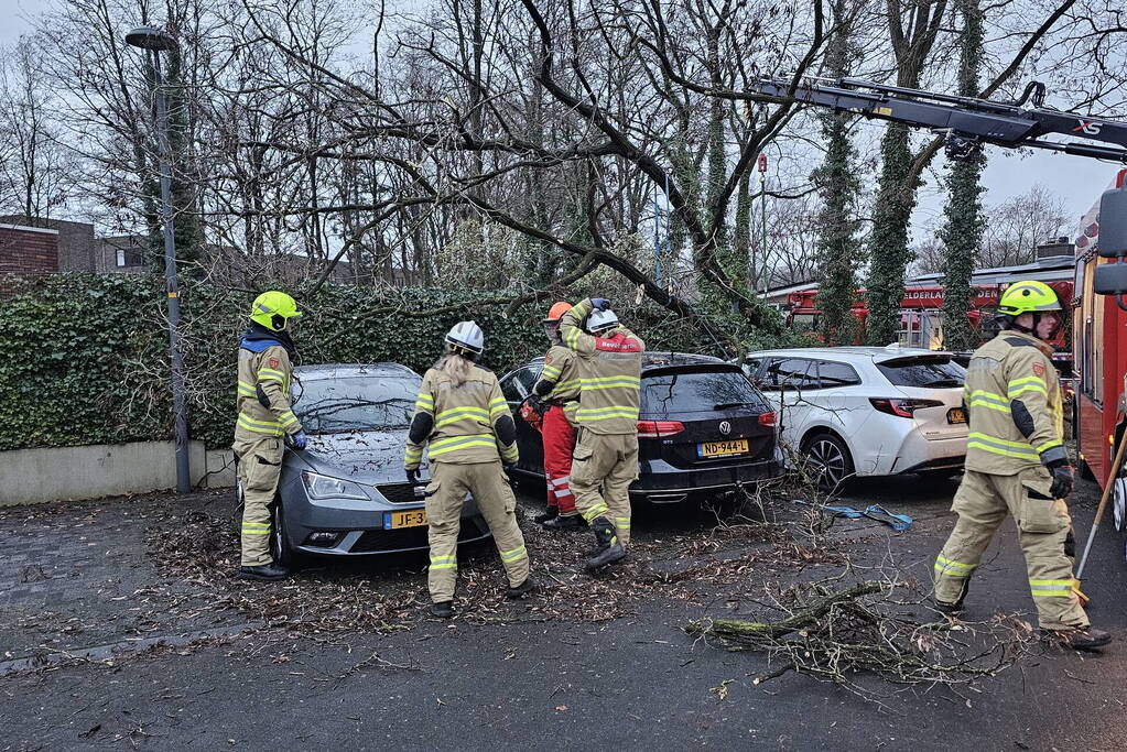 Meerdere auto's beschadigd door omgevallen boom