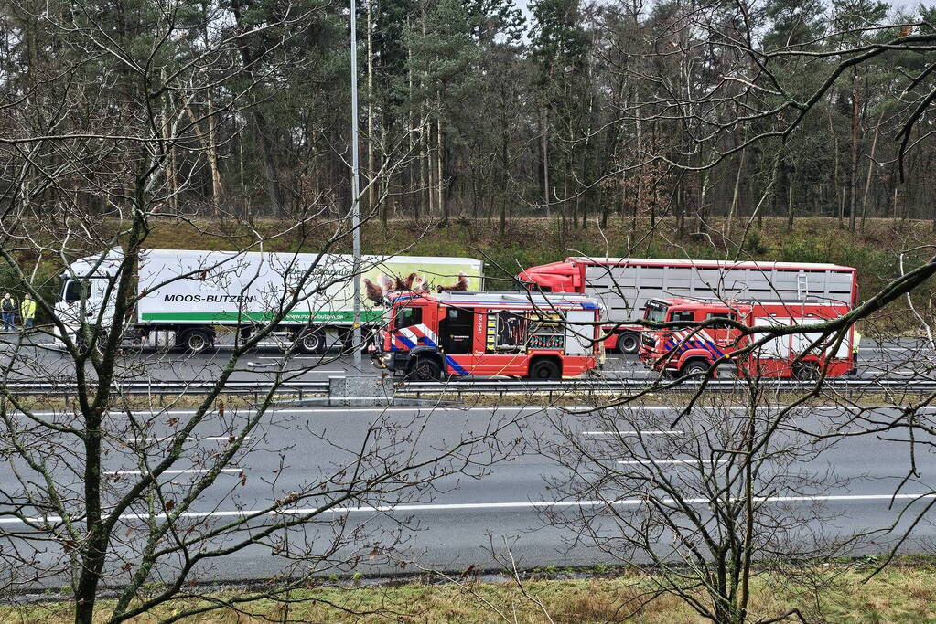 Twee vrachtwagens betrokken bij ernstig ongeval