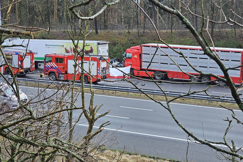 Twee vrachtwagens betrokken bij ernstig ongeval