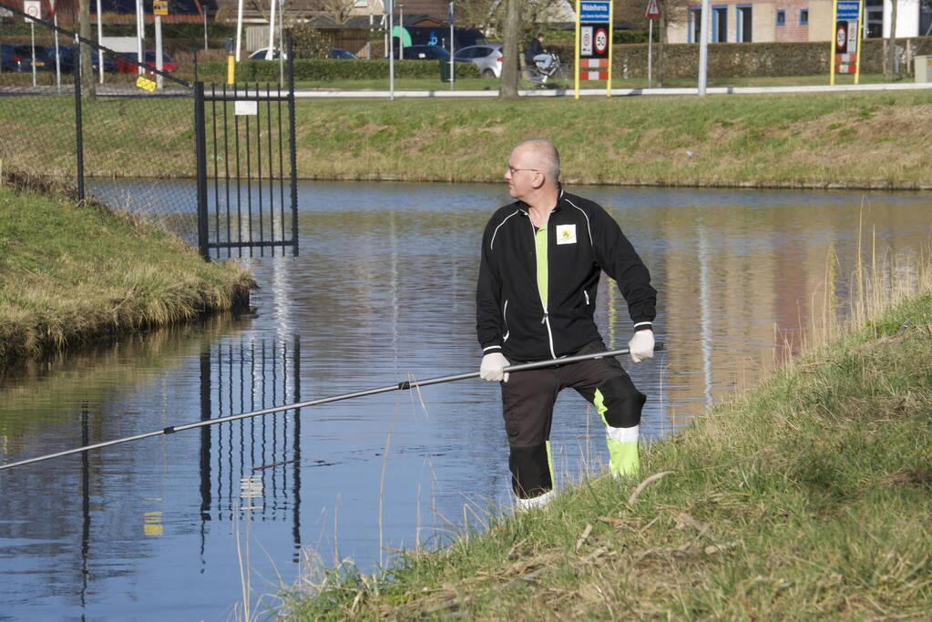 Brandweer haalt gewonde zwaan uit het water