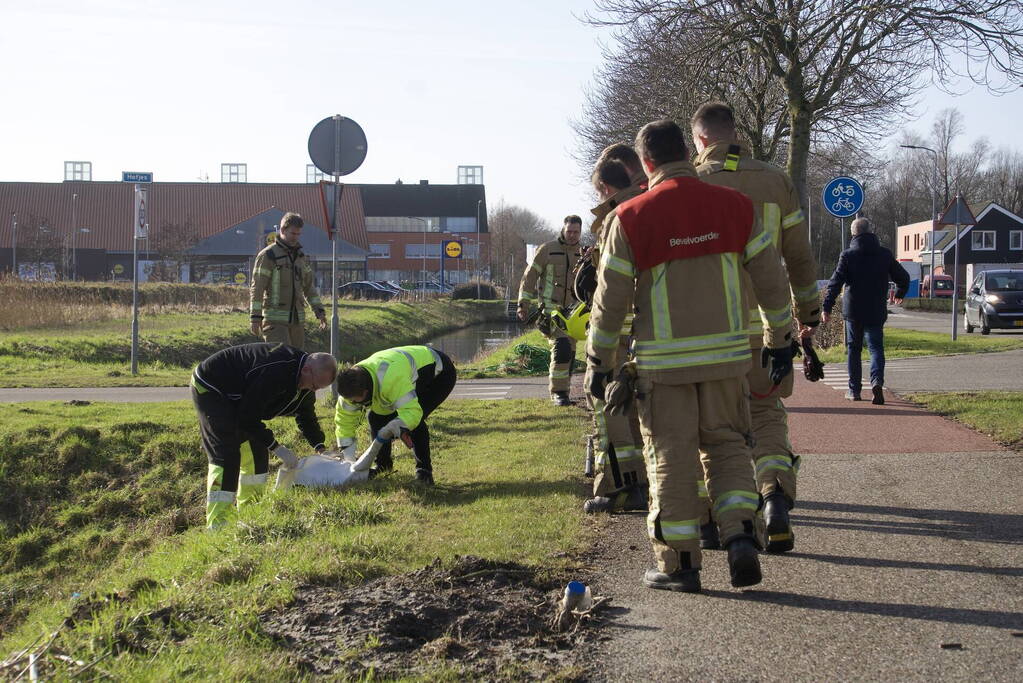 Brandweer haalt gewonde zwaan uit het water