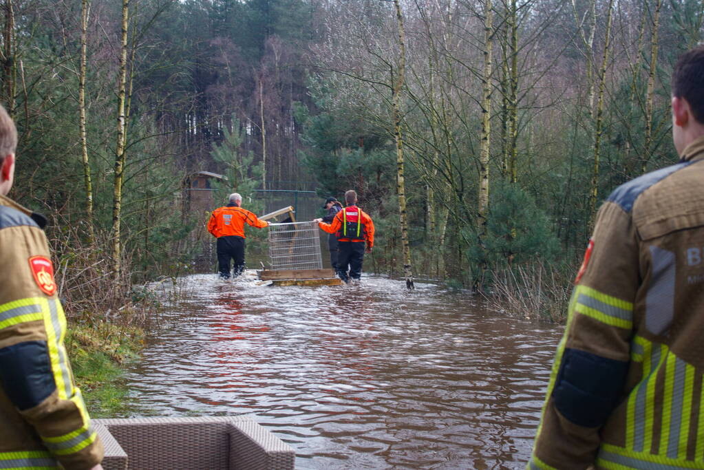 Dieren in de problemen door hoog water