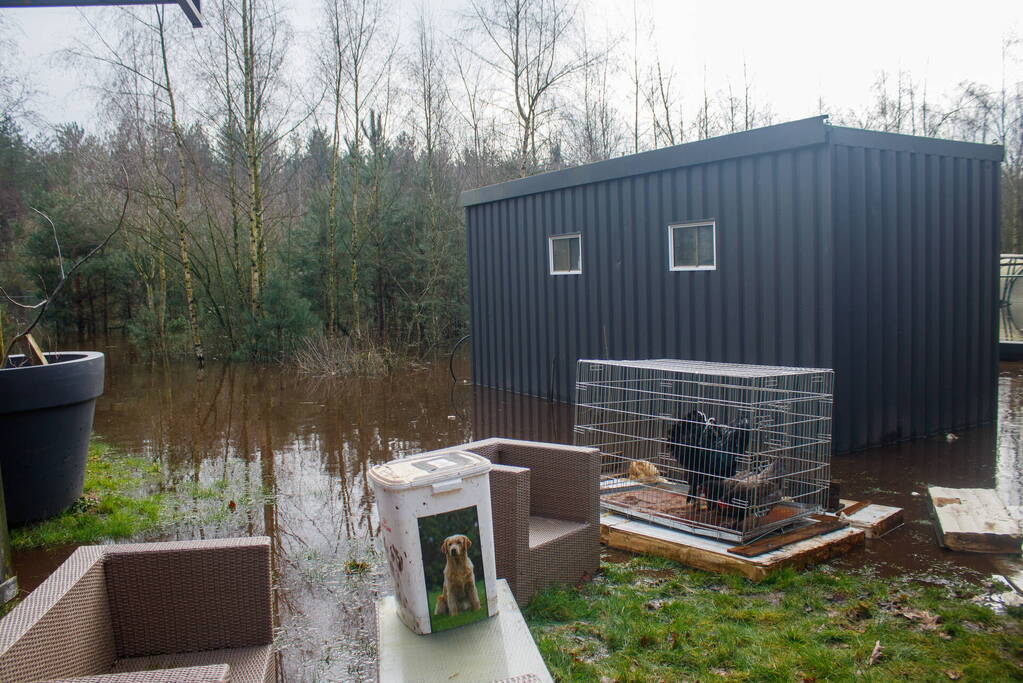 Dieren in de problemen door hoog water