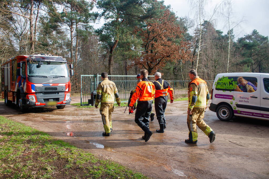 Dieren in de problemen door hoog water