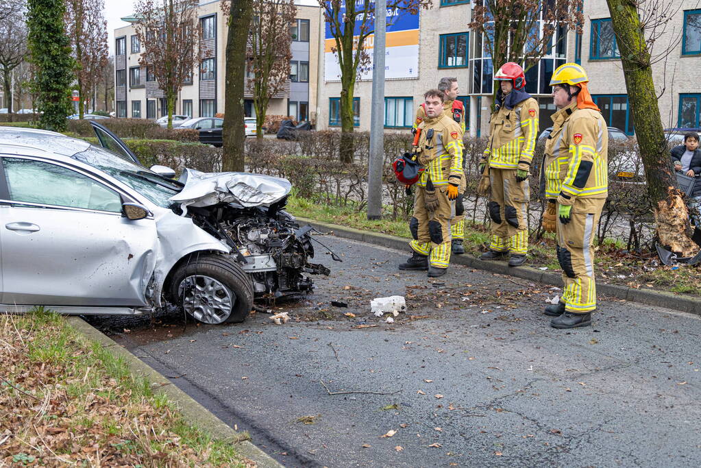 Dronken bestuurder botst frontaal op boom