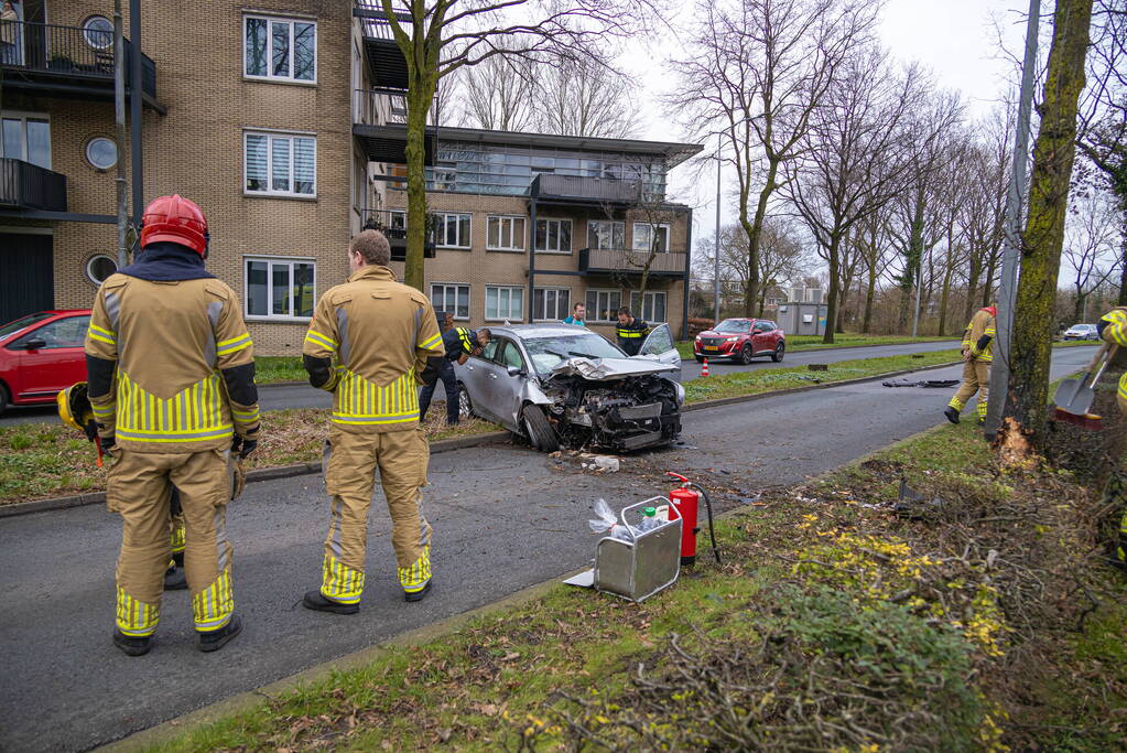 Dronken bestuurder botst frontaal op boom