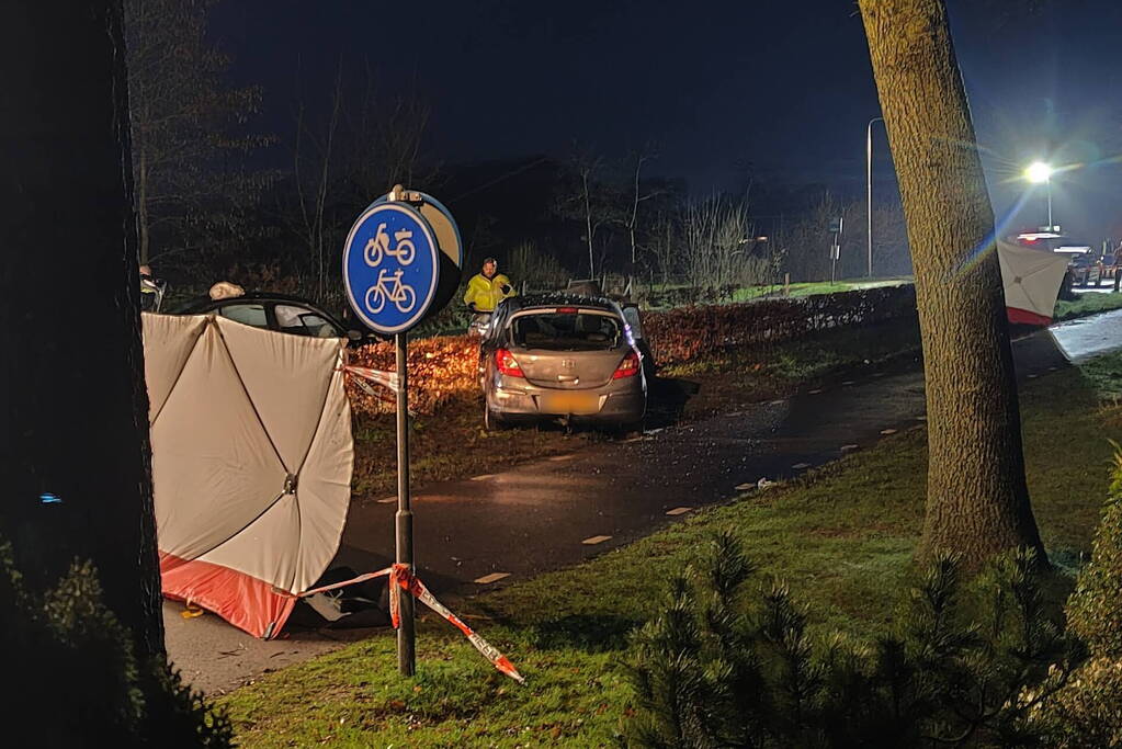 Drie doden bij frontale aanrijding tussen auto's