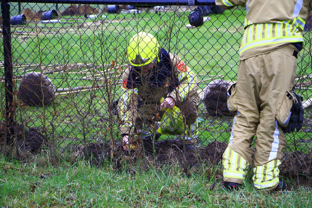 Gasleiding geraakt tijdens planten van bomen