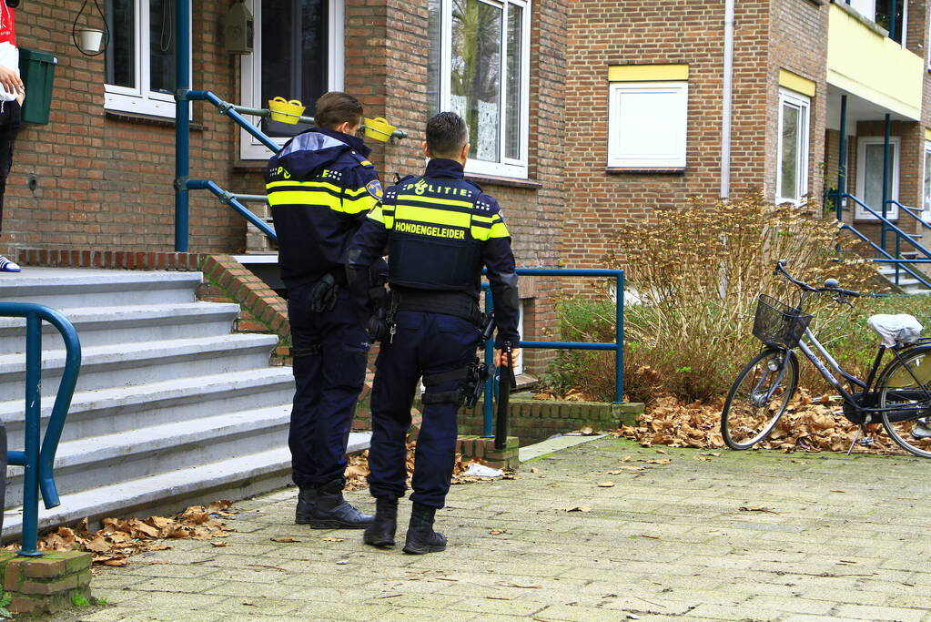 Vrouw naar ziekenhuis na aanval door hond