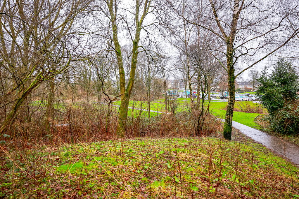 Man en hond gewond bij steekincident in park