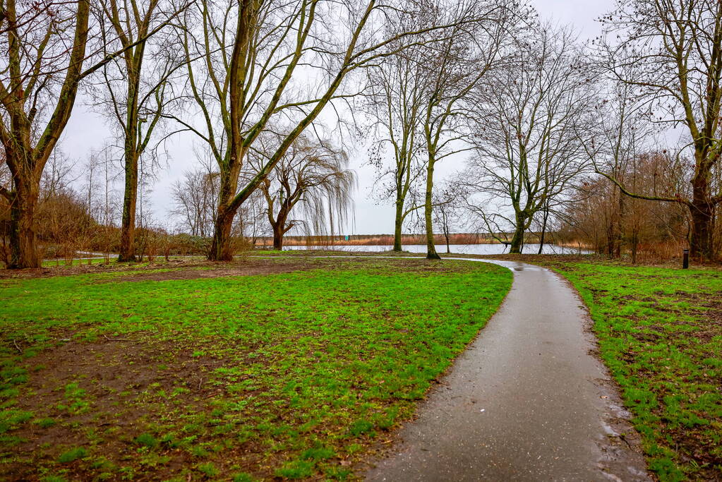 Man en hond gewond bij steekincident in park