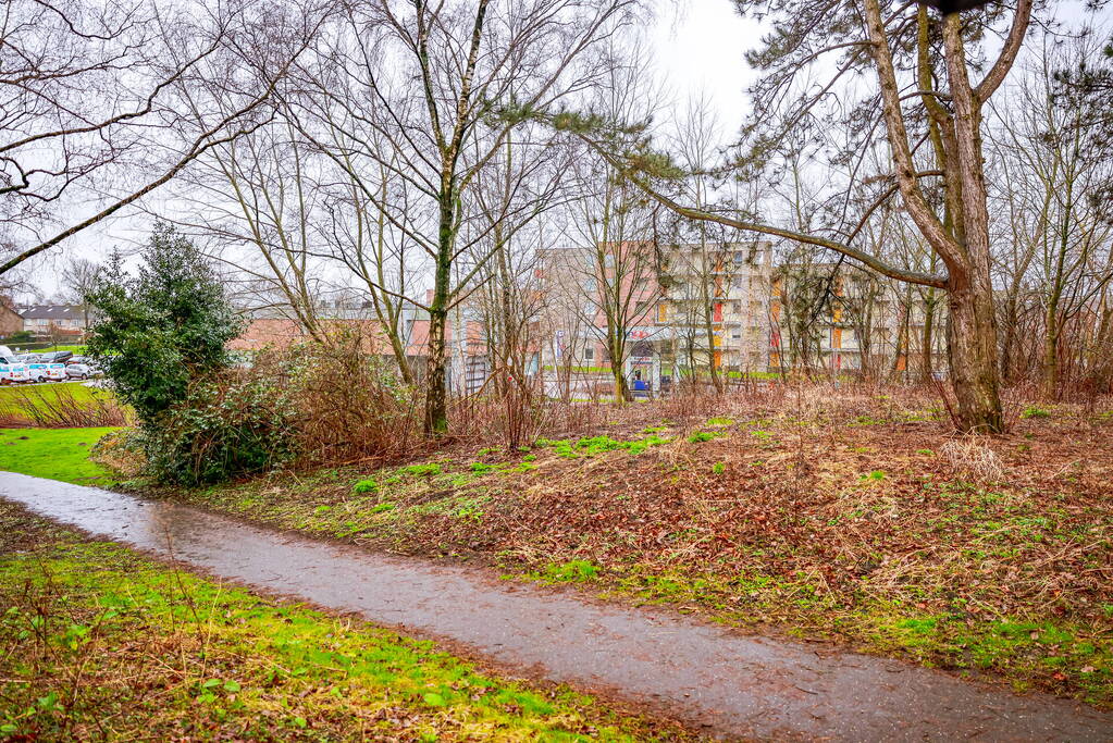 Man en hond gewond bij steekincident in park