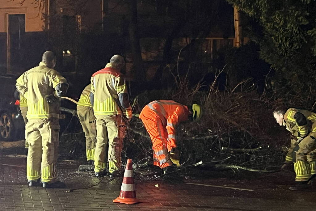 Automobilist rijdt boom en lantaarnpaal uit de grond