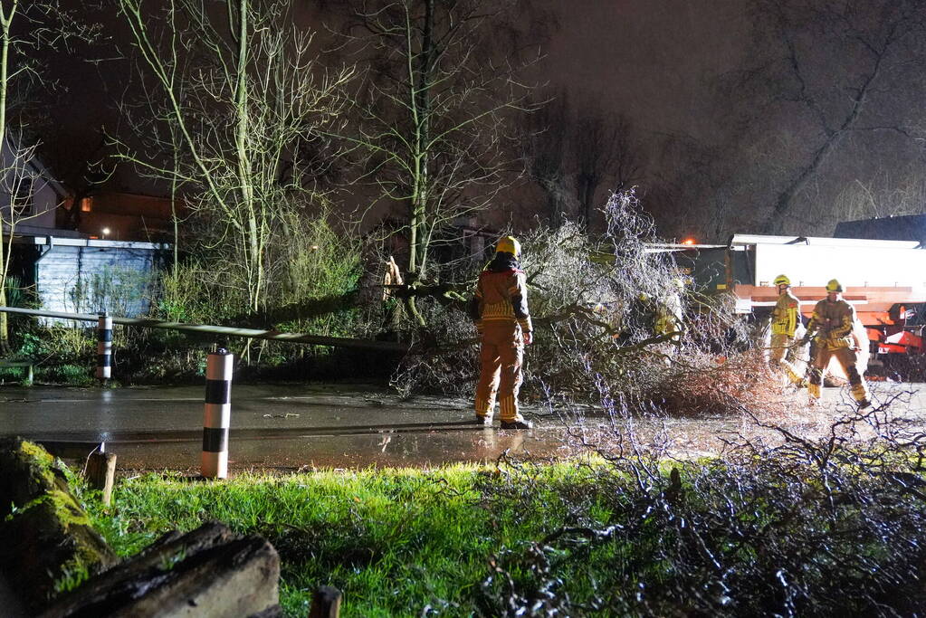 Lantaarnpaal omver door vallende boom