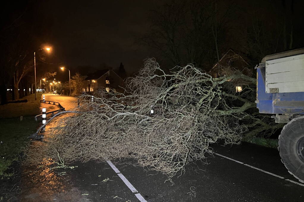 Lantaarnpaal omver door vallende boom