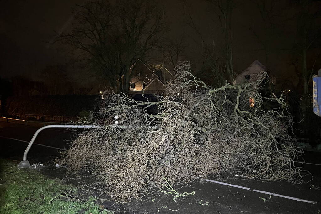 Lantaarnpaal omver door vallende boom