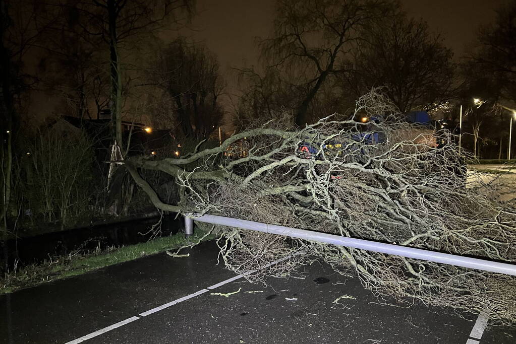 Lantaarnpaal omver door vallende boom