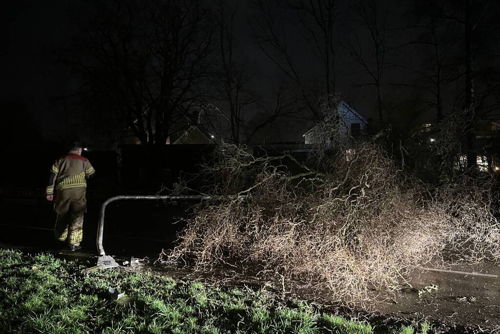 Lantaarnpaal omver door vallende boom