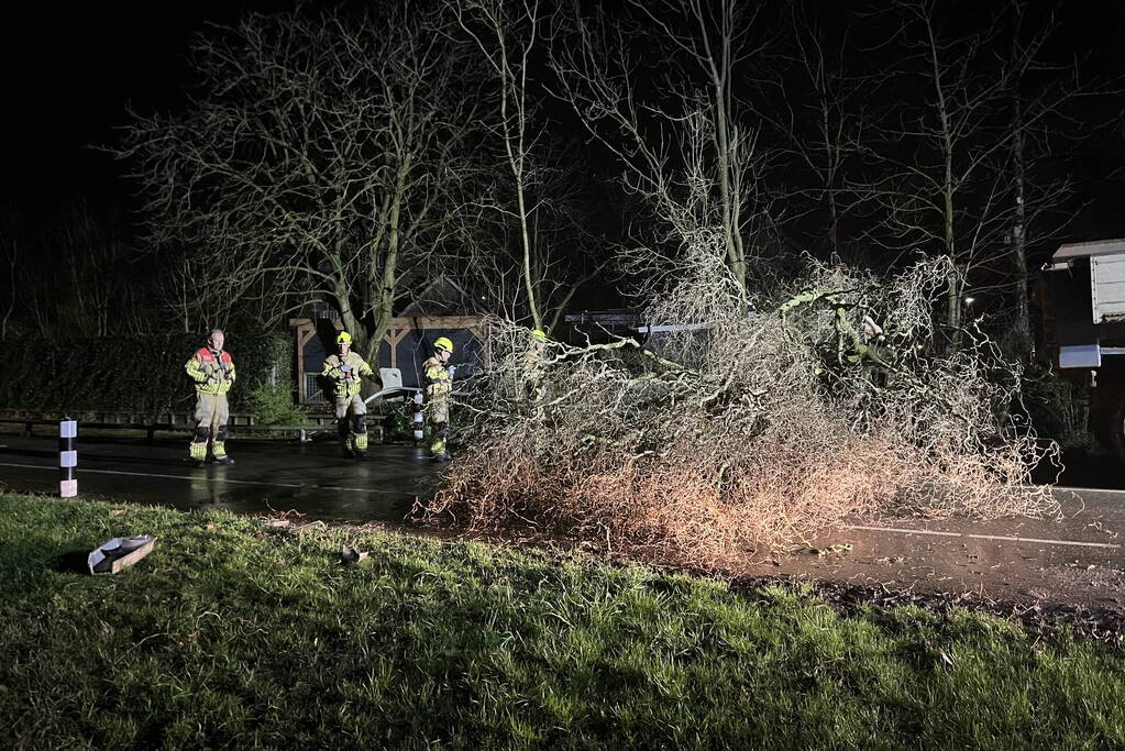 Lantaarnpaal omver door vallende boom