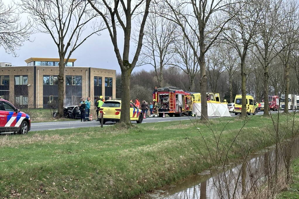 Auto vliegt in brand na frontale botsing tegen boom, bestuurder overleden