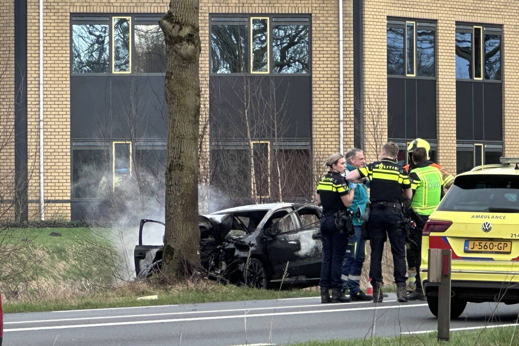 Auto vliegt in brand na frontale botsing tegen boom, bestuurder overleden