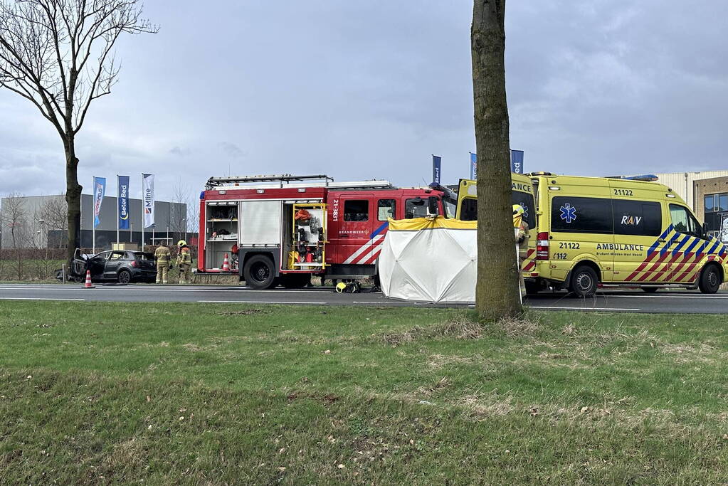 Auto vliegt in brand na frontale botsing tegen boom, bestuurder overleden