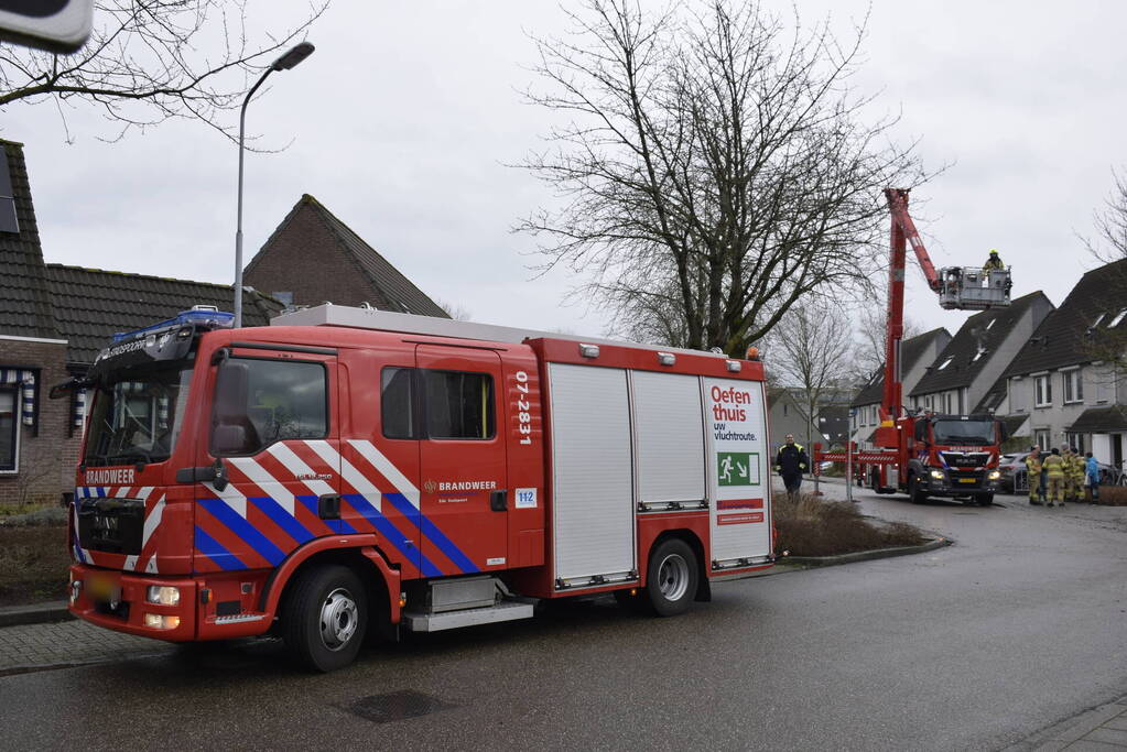 Papegaai Diva gaat ervandoor wanneer brandweer in actie komt