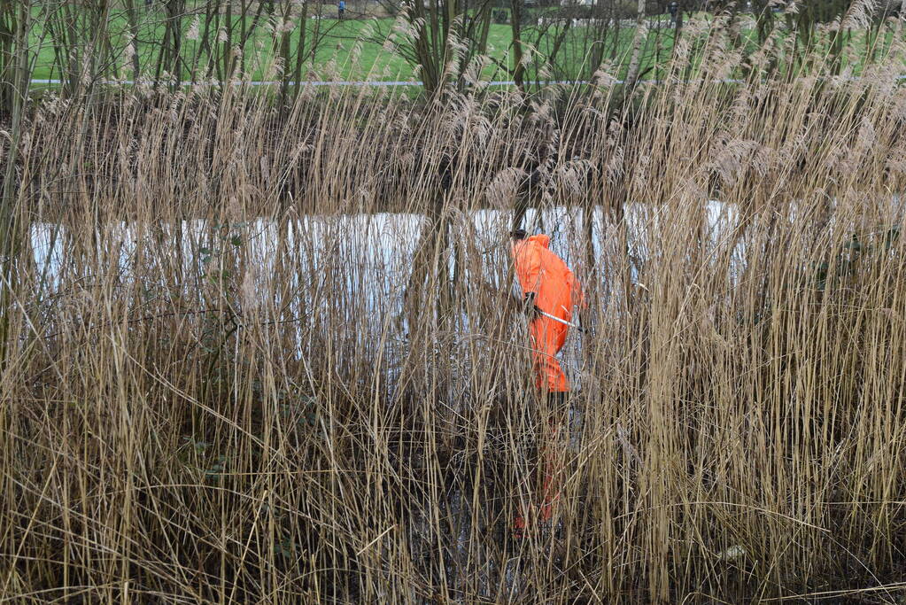 Mogelijk aangereden waterhoen houdt hulpdiensten bezig