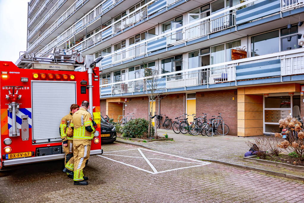 Flatwoning vol rook door brand