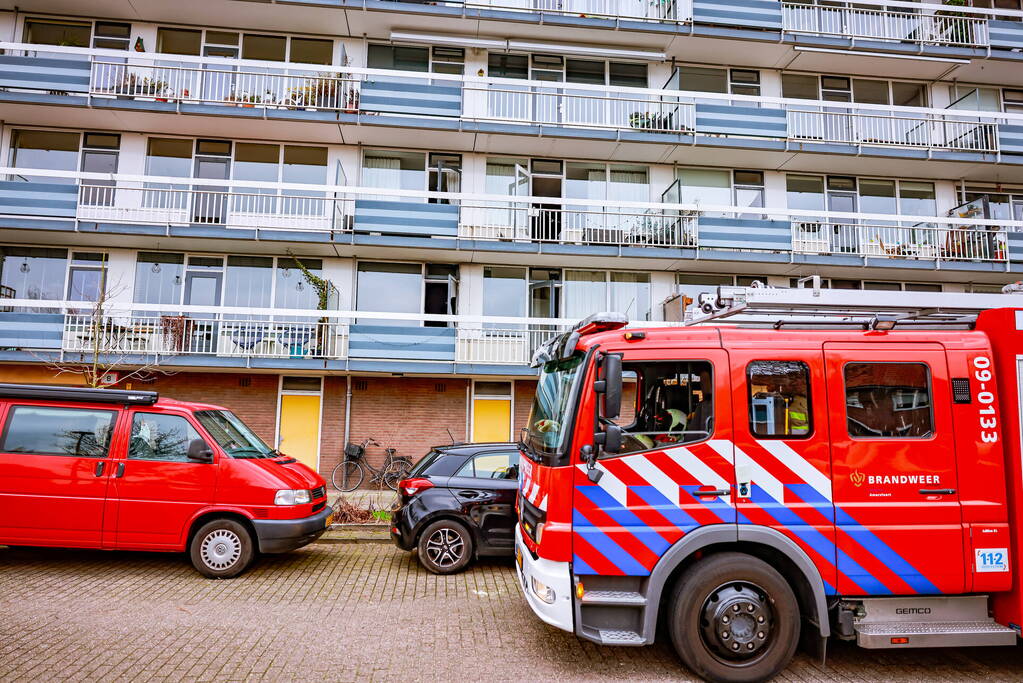 Flatwoning vol rook door brand