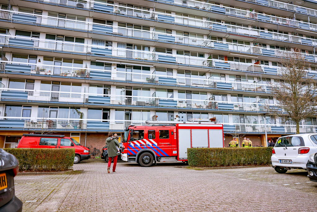 Flatwoning vol rook door brand