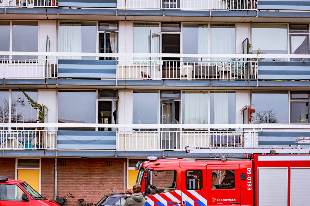 Flatwoning vol rook door brand