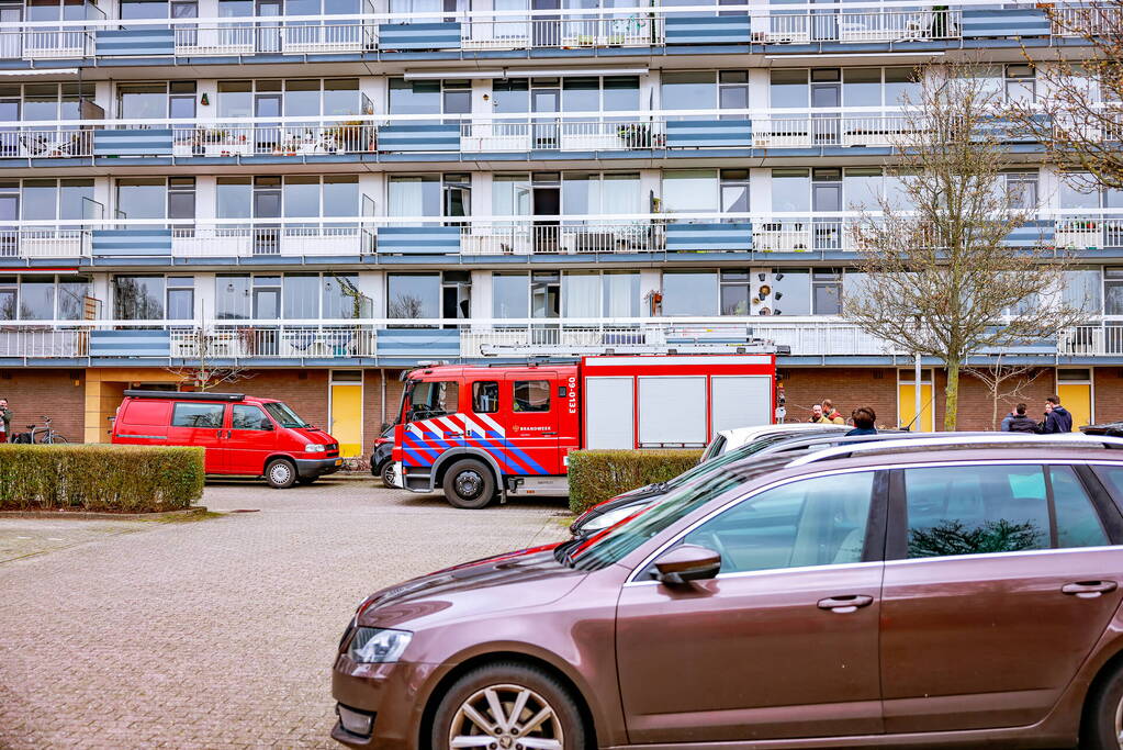 Flatwoning vol rook door brand