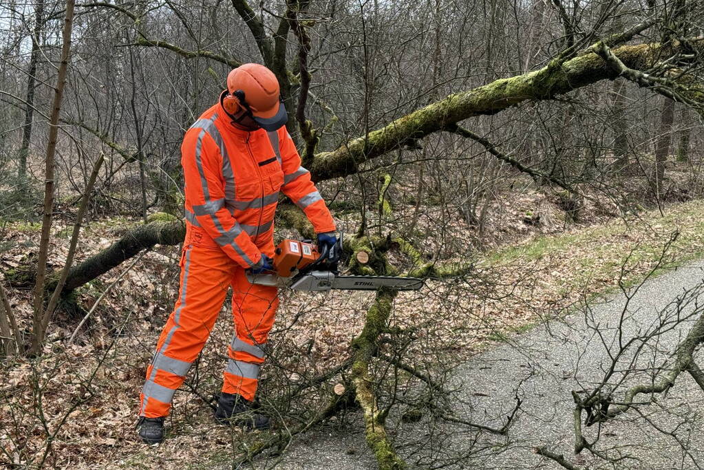 Omgevallen boom verspert weg