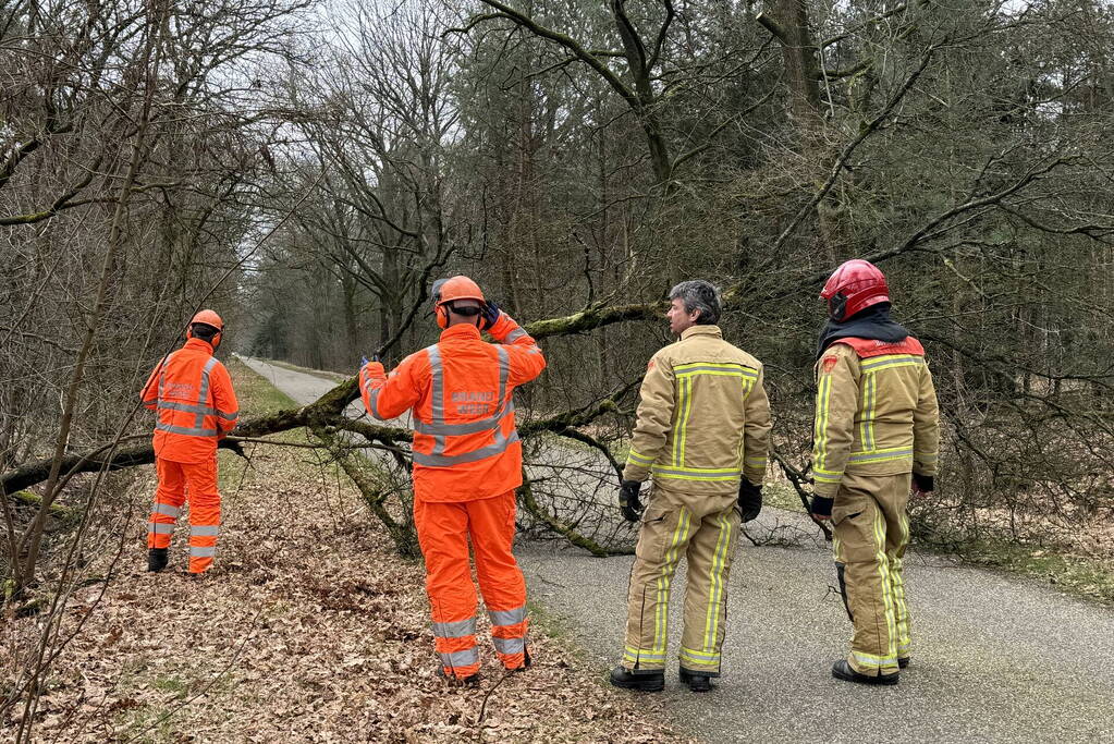 Omgevallen boom verspert weg