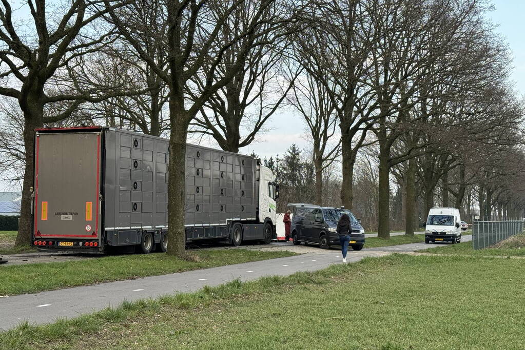 Persoon overleden bij aanrijding tussen personenauto en vrachtwagen